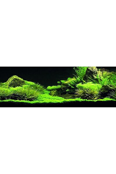 Kanki Pet KP18565035 Akvaryum Arka Fon Yapıştırma 185 x 65 CM