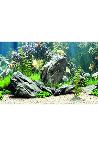 Kanki Pet KP7045034 Akvaryum Arka Fon Yapıştırma 70 x 45 CM