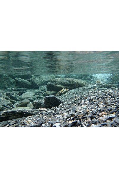 Kanki Pet KP7045031 Akvaryum Arka Fon Yapıştırma 70 x 45 CM