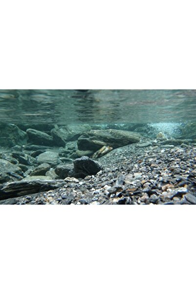 Kanki Pet KP8550031 Akvaryum Arka Fon Yapıştırma 85 x 50 CM