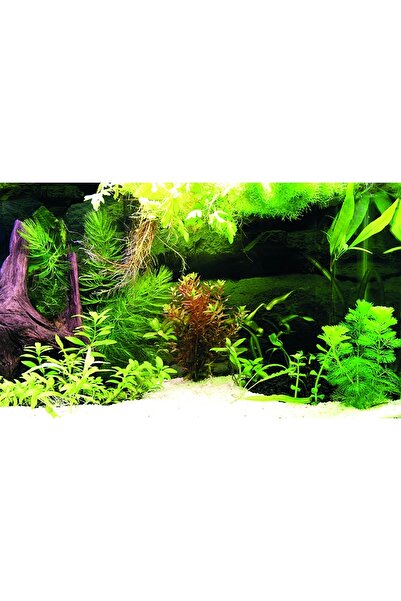 Kanki Pet KP8550036 Akvaryum Arka Fon Yapıştırma 85 x 50 CM