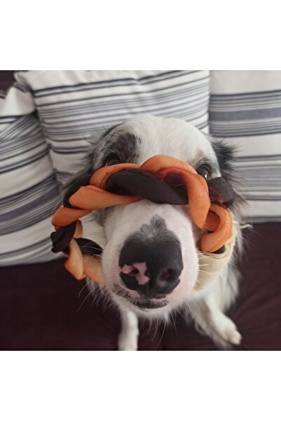 Eva & Wall-e Köpekler Için Kolajen Halka Çubuk – Doğal Çiğneme Kemiği, Uzun Süre Oyalayıcı Köpek Ödül Kemiği