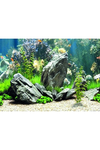 Kanki Pet KP5540034 Akvaryum Arka Fon Yapıştırma 55 x 40 CM