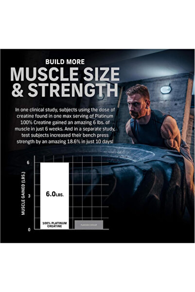 MUSCLETECH Platinum 100% Pure Micronized Creatine Monohydrate for Muscle Strength – Unflavored (400g)