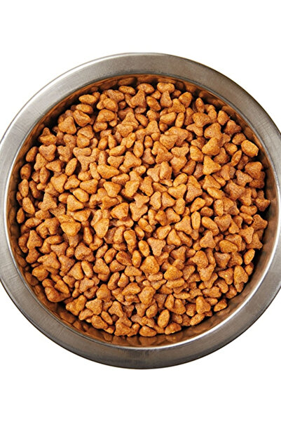 katzoo Yavru Kedi Kuru Mama 1.5 Kg | Tavuklu