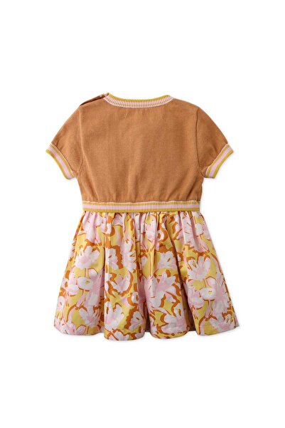 Gingersnaps Girls' Baby Dress with Fluffy Skirt
