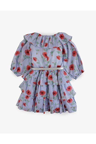 Gingersnaps Layered Floral Girls' Dress with Ruffled Collar
