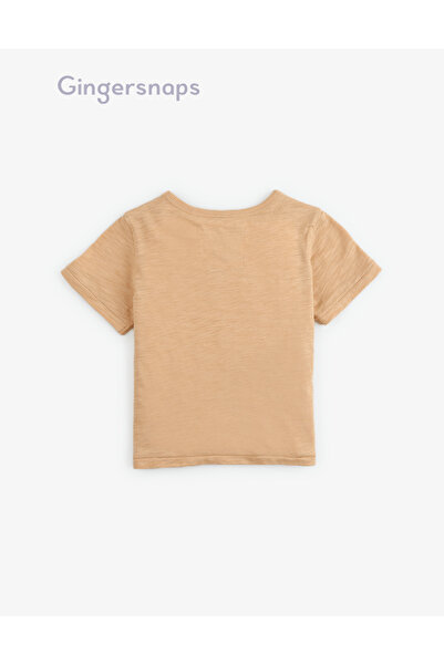 Gingersnaps Boys' Solid T-Shirt with Round Neck for Kids