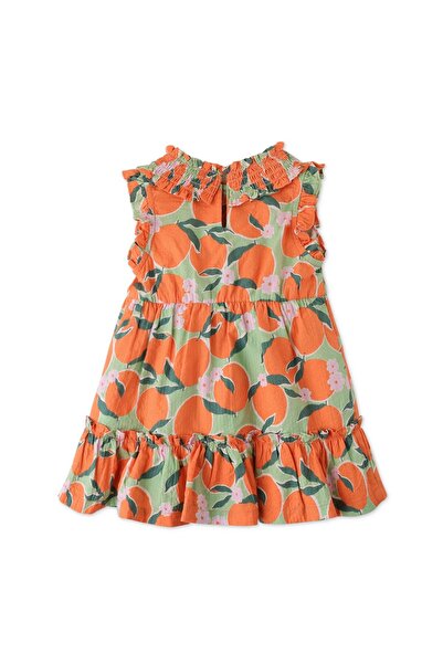 Gingersnaps Girls' Fruit Print Baby Dress