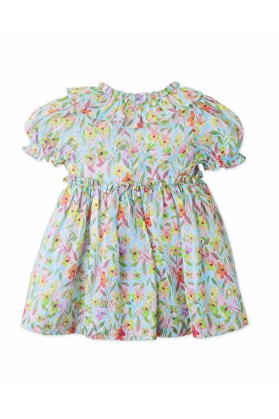 Gingersnaps Girls' Printed Baby Dress with Elastic Sleeves