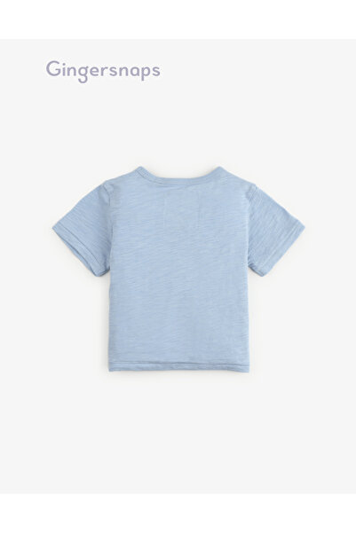 Gingersnaps Boys' Plain Baby T-Shirt with Round Neck