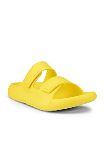 Ecco Cozmo E Buttercup