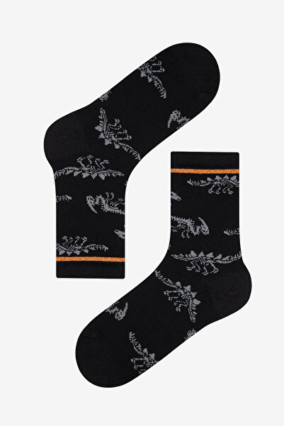 Penti Erkek Çocuk Dark Dino 4lü Soket Çorap