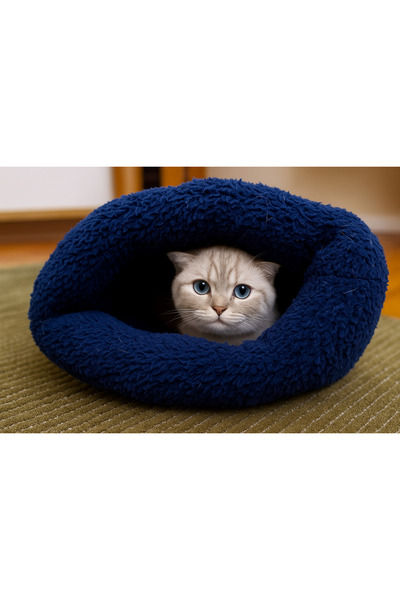 Quun Kedi köpek uyku tulumu yatak mavi velsoft şık tasarım box