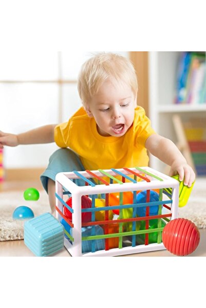 Smart Vibe Montessori PlaySmart™ Toy – Shape Sorting, Multi-Sensory Activities, 12 Pieces