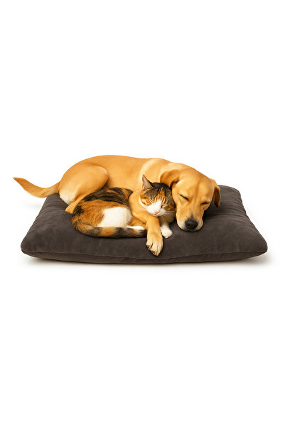 Polarlı Elyaf Dolgulu Kedi & Köpek Yatağı – 100x60 cm, Astar Tabanlı Rahat Minder