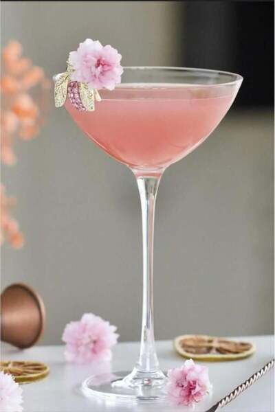 Paşabahçe Nude Savage 6 lı Coupetini Kadeh Seti1112794 67286 170 cc