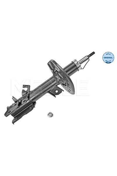 MEYLE Amortizor Axa Fata Stanga Nissan 10-Trail 2 Renault Koleos 1