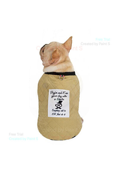 fara marca Vesta catei bej L 34 cm lungime