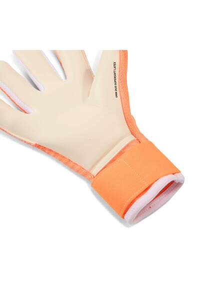 Puma Future Pro Hybrid Football Goalkeeper Gloves