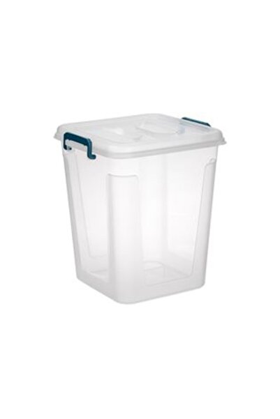 SHOPIENS Transparent Storage Box with Petrol Handles and Lid 2L