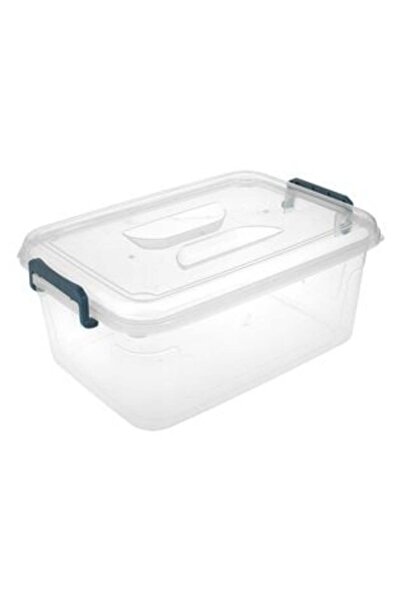SHOPIENS Plastic Storage Box Transparent with Lid & Blue Handles 9 L