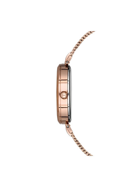 Tesbihane Ferro Rose Steel Mesh Band Women Wristwatch Waterproof Th-F21155C-C