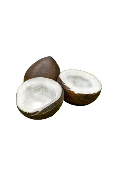 Natural جوز الهند المجفف 150 جرام × 12