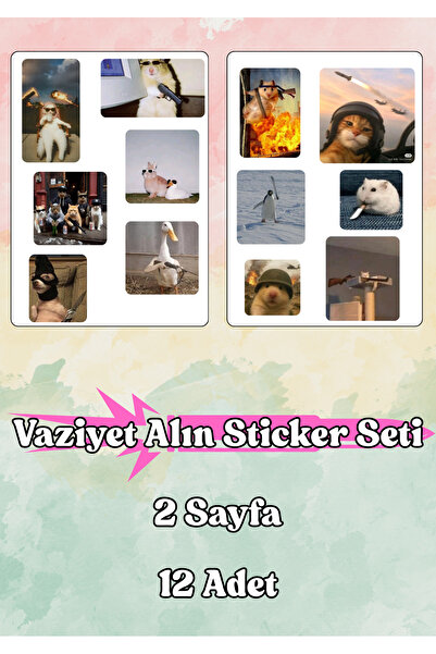 ANSHA CRAFTS Vaziyet Alın Sticker Seti- Bullet Journal - Ajanda - Planner - D...