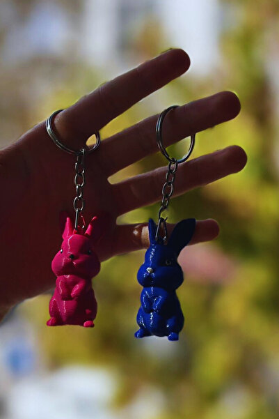 FourClovers سلسلة مفاتيح على شكل أرنب ثلاثي الأبعاد - قطعتان من الشخصيات اللطيفة ثنائية اللون (مصنوعة يدويًا)