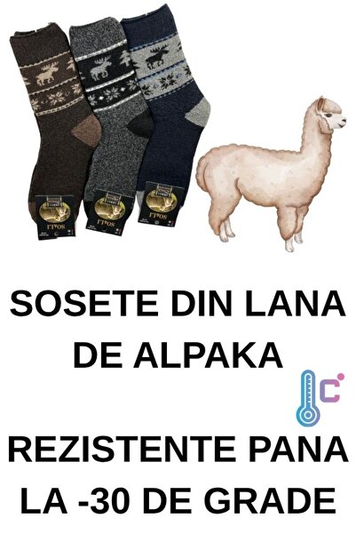 Dacali Socks 3 pairs men's socks alpaca wool socks