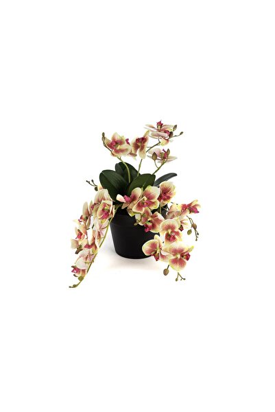Mikasa Moor Cream Pink Dangling Artificial Orchid 33cm