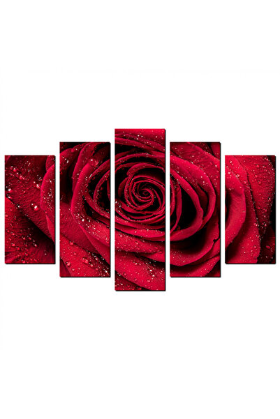 Generic Wall panel - Red rose with dew drops - 1576 - divided into five graduated pieces - 1