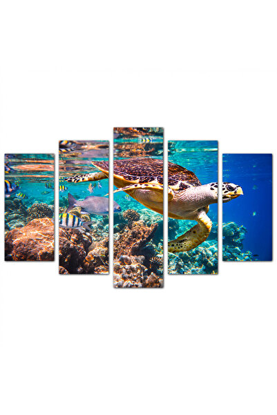 Generic Mural - Turtle in the Sea - 1538 - Divided into five graduated pieces - 1