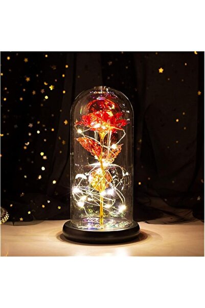 Generic Rose Flower Gift Valentine's Day Led Light String on The Colorful Flower, Lasts Forever in A Glass