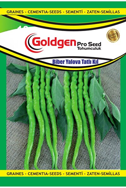 kademgiller çok yaşa rahat ve iyi yaşa ... 2016 Kademgiller Yalova Tatlı Kıl ...