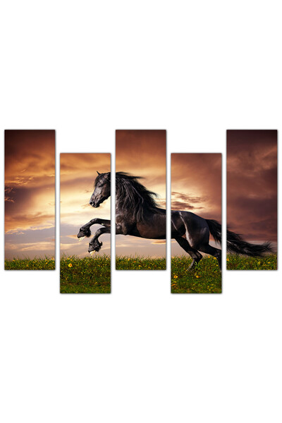 Generic Wall panel - Black Horse - 931 - Divided into five graduated pieces - 2