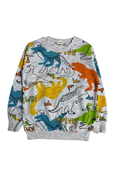 Arya Nisa Kids Boys' Gray Color Dinosaur Printed 100% Cotton Seasonal Pajama Set