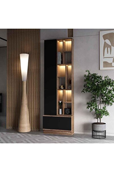 Stylish Home Decor Cabinet with Lighting Model 61 76x45x45 Black