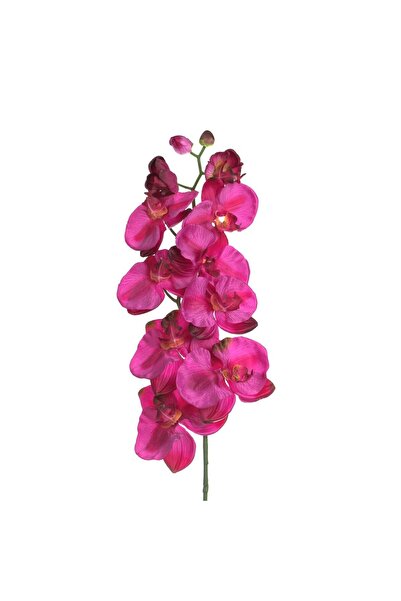 OEM Τεχνητό Λουλούδι με Μακρύ Στέλεχος Φούξια Ορχιδέα 100 εκατοστά