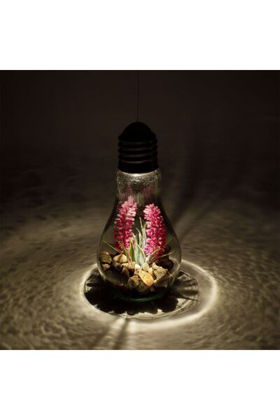 OEM Decorative Transparent Glass Bulb with LED Stones Fuchsia Flowers Ø11x19cm