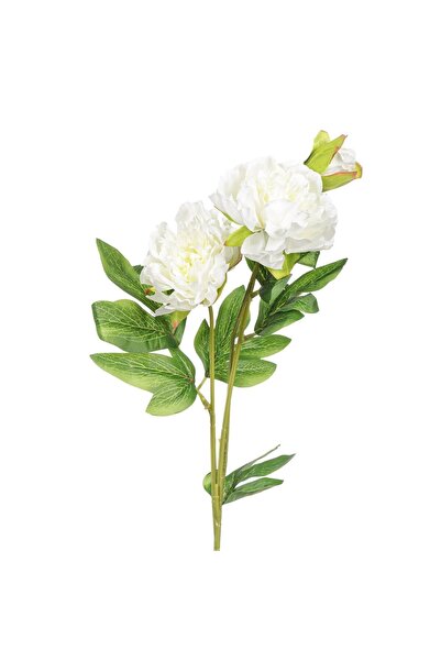 OEM Τεχνητό Λουλούδι Λευκή Φρέζια 64 εκατοστά