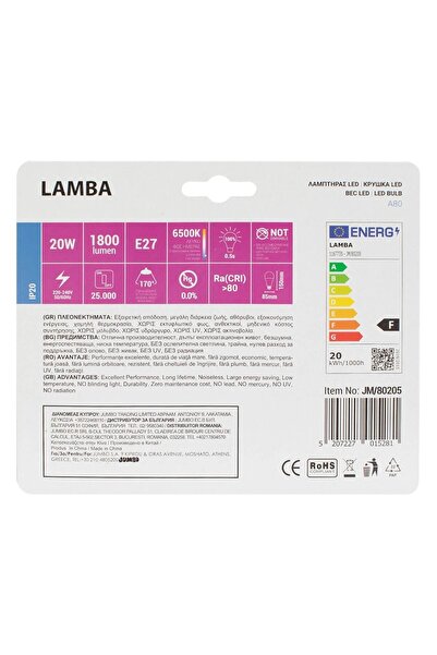 OEM LED bulb E27 20W (A80) - Cool White