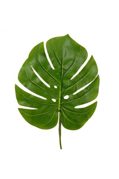 OEM Frunza Artificiala Verde 55 cm – Decor Realist pentru Casă și Evenimente