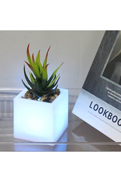 OEM Decorative Flower Pot with Multicolor LED & Plant 7.5x7.5x19cm