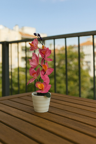 MEYA PİNE Orhidee artificială în ghiveci