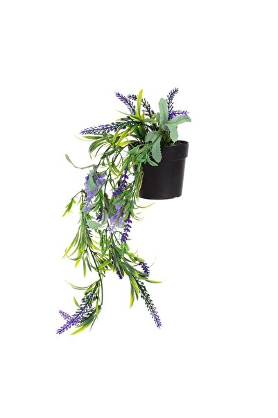 OEM Ghiveci Decorativ din Plastic Negru cu Planta Artificiala de Lavanda Curg...