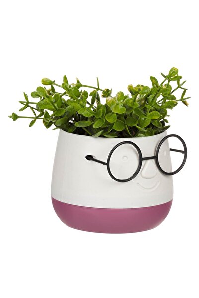 OEM Decorative Flower Pot Ecru Burgundy with Black Glasses & Artificial Plant 9.5x9.5x14cm