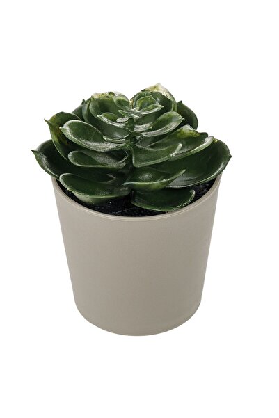 OEM Decorative Pot with Artificial Plant Ø6x11cm