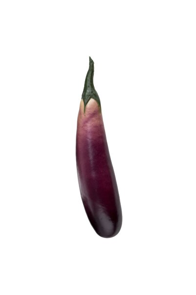 OEM Artificial Plastic Eggplant 23cm